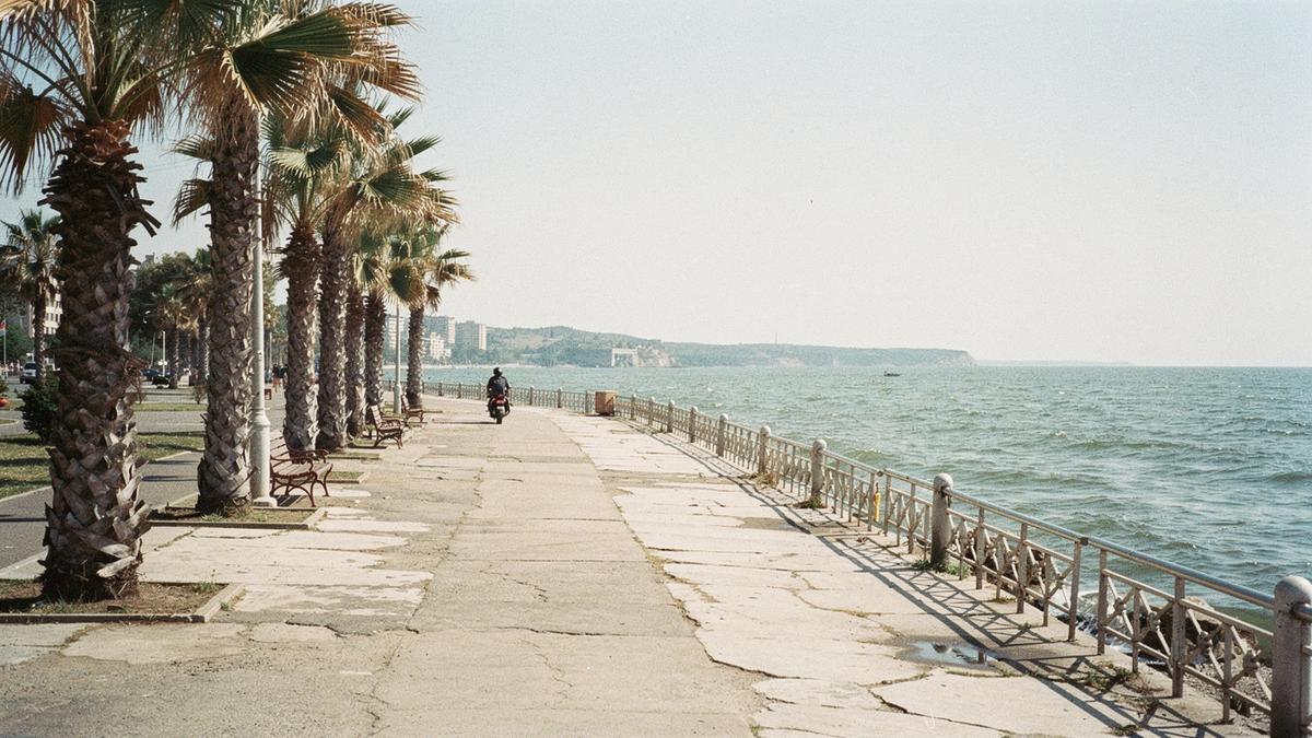 Seaside promenade path in Odesa Arcadia with palm trees